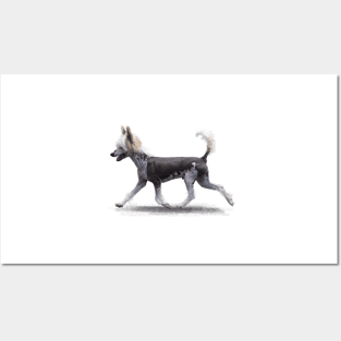 The Chinese Crested Dog Posters and Art